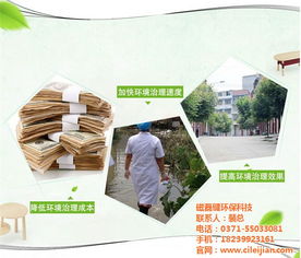 創新科技，清新環境 探索垃圾除臭的有效方法